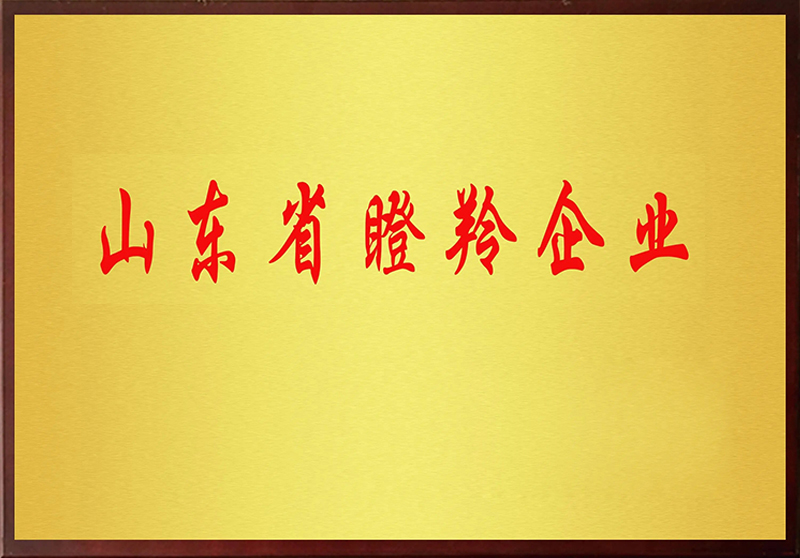 山東省“瞪羚企業” 山東省“瞪羚企業”